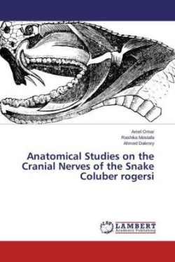 Anatomical Studies on the Cranial Nerves of the Snake Coluber rogersi