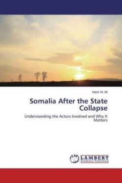 Somalia After the State Collapse