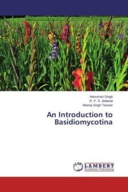 Introduction to Basidiomycotina