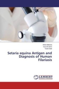 Setaria equina Antigen and Diagnosis of Human Filariasis