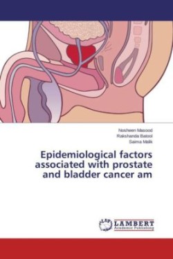 Epidemiological factors associated with prostate and bladder cancer am