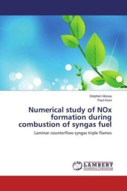 Numerical study of NOx formation during combustion of syngas fuel