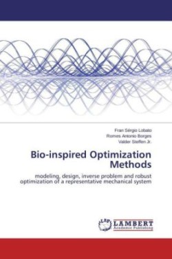 Bio-inspired Optimization Methods