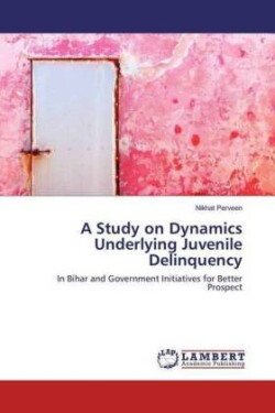 A Study on Dynamics Underlying Juvenile Delinquency