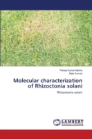 Molecular characterization of Rhizoctonia solani