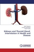 Kidneys and Thyroid Gland