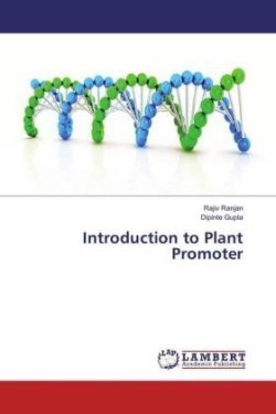 Introduction to Plant Promoter