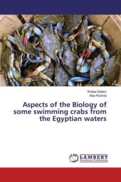 Aspects of the Biology of some swimming crabs from the Egyptian waters