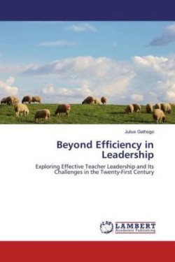 Beyond Efficiency in Leadership