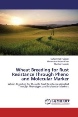 Wheat Breeding for Rust Resistance Through Pheno and Molecular Marker