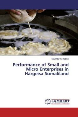 Performance of Small and Micro Enterprises in Hargeisa Somaliland