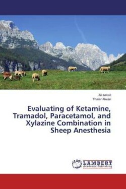 Evaluating of Ketamine, Tramadol, Paracetamol, and Xylazine Combination in Sheep Anesthesia