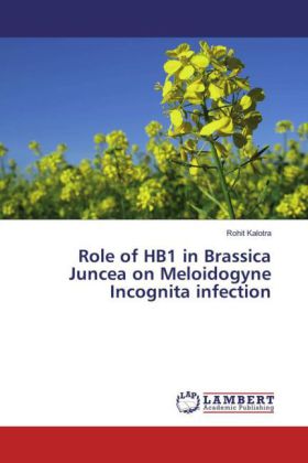 Role of HB1 in Brassica Juncea on Meloidogyne Incognita infection