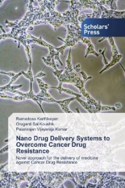 Nano Drug Delivery Systems to Overcome Cancer Drug Resistance