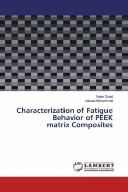 Characterization of Fatigue Behavior of PEEK matrix Composites