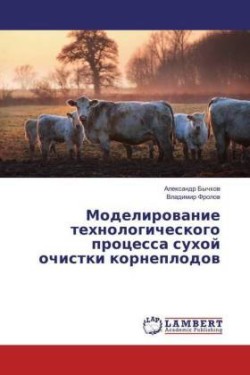 Modelirovanie tehnologicheskogo processa suhoj ochistki korneplodov