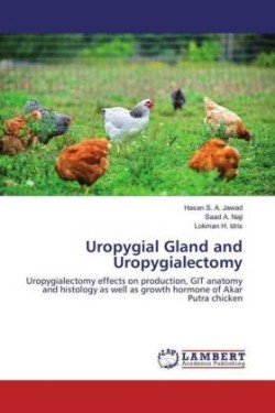 Uropygial Gland and Uropygialectomy