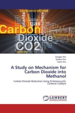 A Study on Mechanism for Carbon Dioxide into Methanol