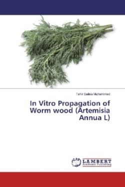 In Vitro Propagation of Worm wood (Artemisia Annua L)