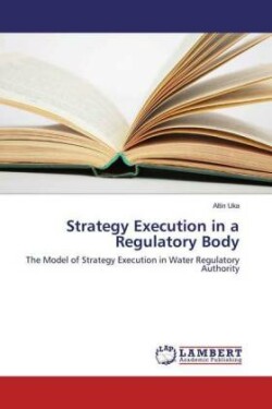 Strategy Execution in a Regulatory Body