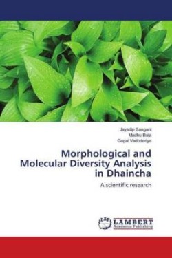 Morphological and Molecular Diversity Analysis in Dhaincha