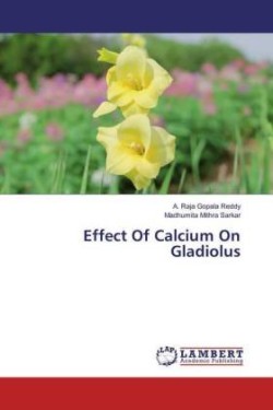 Effect Of Calcium On Gladiolus