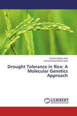 Drought Tolerance in Rice: A Molecular Genetics Approach