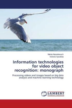 Information technologies for video object recognition