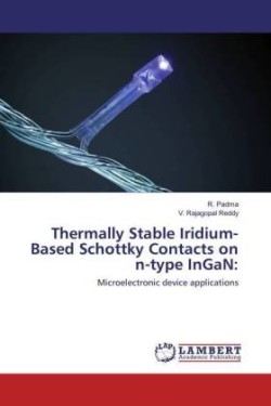 Thermally Stable Iridium-Based Schottky Contacts on n-type InGaN: