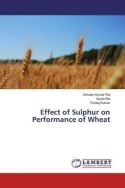 Effect of Sulphur on Performance of Wheat