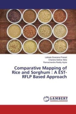 Comparative Mapping of Rice and Sorghum : A EST-RFLP Based Approach