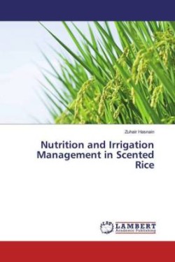 Nutrition and Irrigation Management in Scented Rice