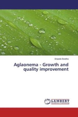 Aglaonema - Growth and quality improvement