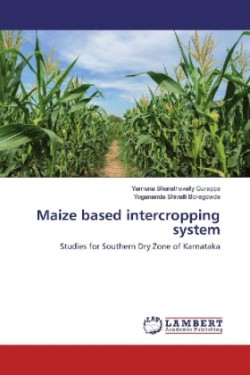 Maize based intercropping system