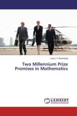 Two Millennium Prize Promises in Mathematics