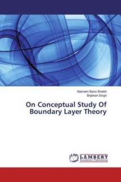 On Conceptual Study Of Boundary Layer Theory