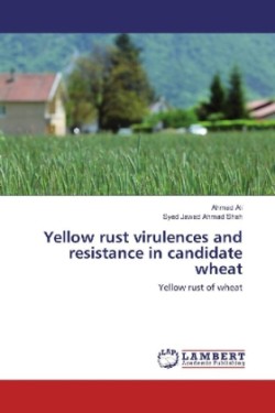 Yellow rust virulences and resistance in candidate wheat