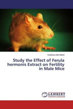 Study the Effect of Ferula hermonis Extract on Fertility in Male Mice