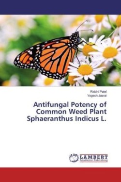 Antifungal Potency of Common Weed Plant Sphaeranthus Indicus L.