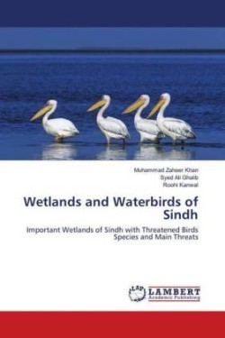 Wetlands and Waterbirds of Sindh