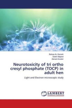 Neurotoxicity of tri ortho cresyl phosphate (TOCP) in adult hen