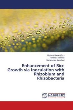 Enhancement of Rice Growth via Inoculation with Rhizobium and Rhizobacteria