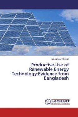 Productive Use of Renewable Energy Technology:Evidence from Bangladesh