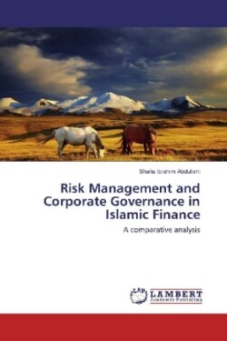 Risk Management and Corporate Governance in Islamic Finance