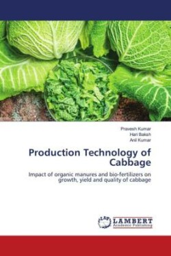 Production Technology of Cabbage