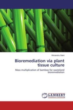 Bioremediation via plant tissue culture