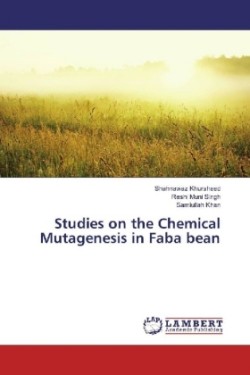 Studies on the Chemical Mutagenesis in Faba bean