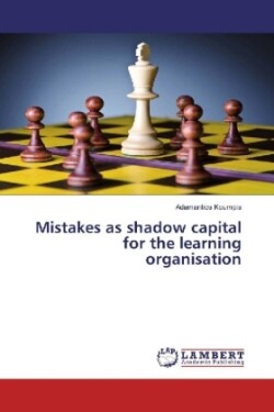 Mistakes as shadow capital for the learning organisation