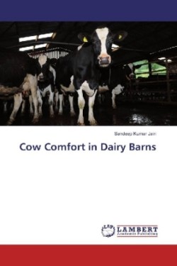 Cow Comfort in Dairy Barns