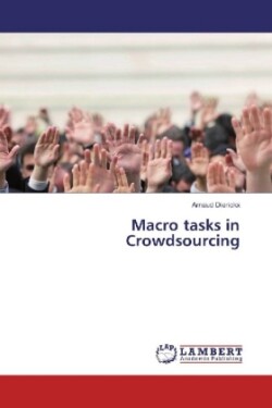 Macro tasks in Crowdsourcing